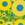 Color: 605 - Tango Yellow