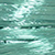 Color: 33 - Teal