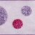 Color: 611 - Lavender