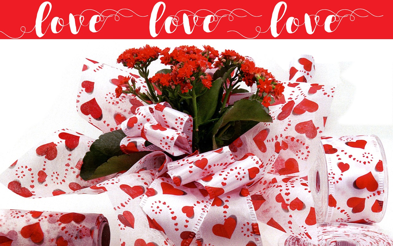 Wholesale Satin, Sheer, Grosgrain ribbon, and more Morex Ribbon